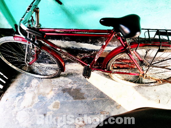 বাই সাইকেল